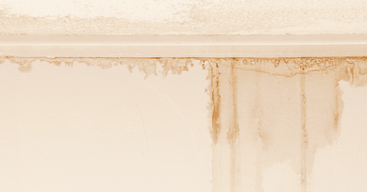 Tes Rendam Cek Waterproofing Rumah baru! biar bisa claim garansi - PT Star Skykom ...